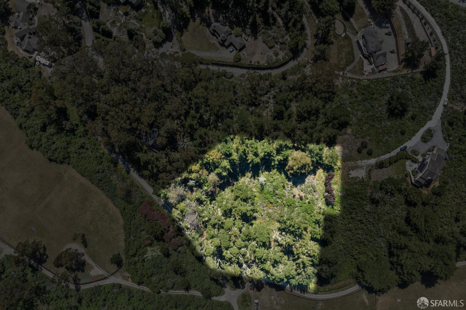 0 Vallecitos Road Montara, CA 94037 - Photo 6 of 32 a view of a forest with a tree
