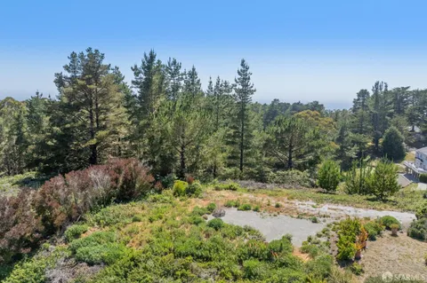 a view of a yard with a tree