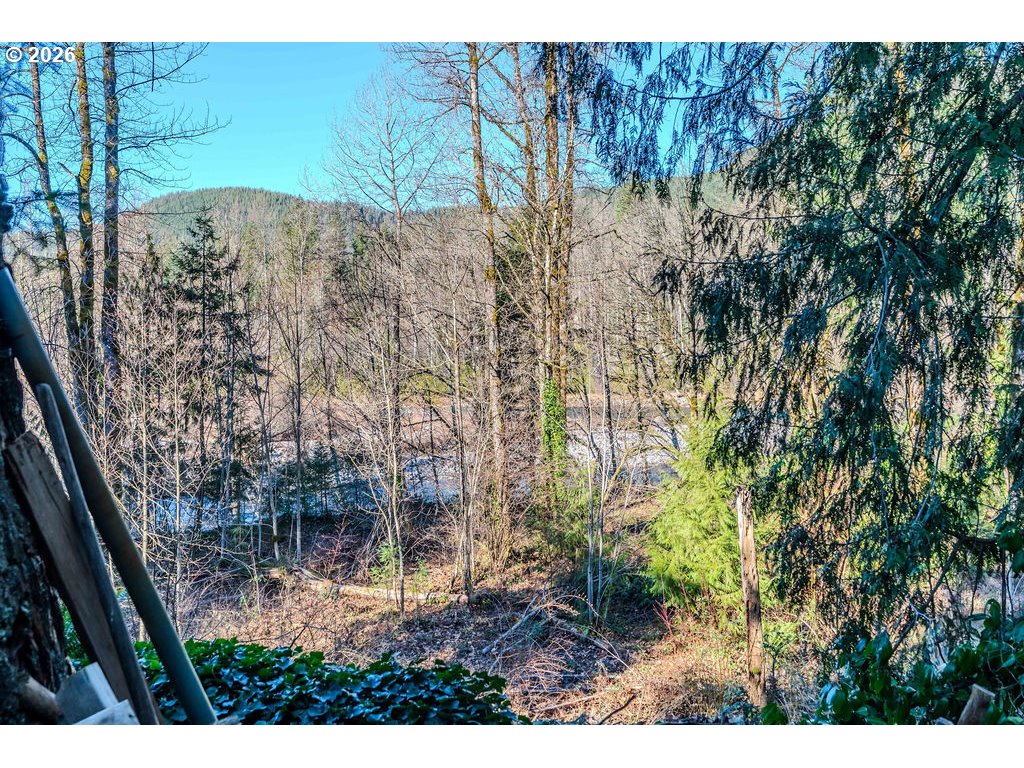 58801 Southeast Cabin Lane Sandy, OR 97055 - Photo 33 of 34