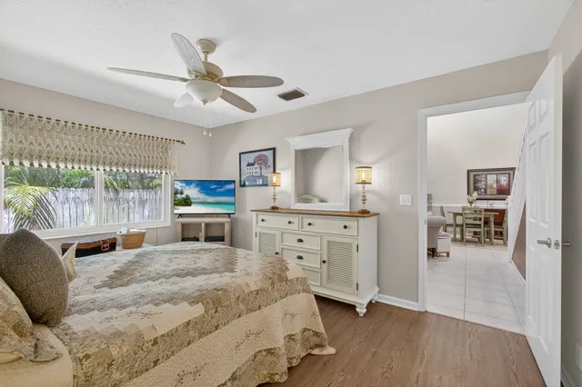 a view of a garden with plants