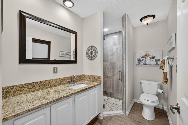 a view of a backyard with potted plants