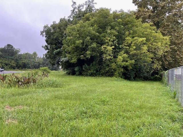 Lot # 2nd Street Pitts, GA 31072 - Photo 7 of 7