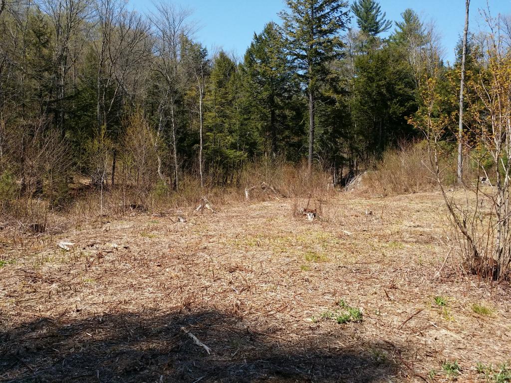 1425 Poor Farm Road South, Unit 1 Thetford, VT 05075 - Photo 2 of 15