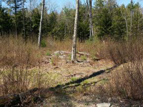 1425 Poor Farm Road South, Unit 1 Thetford, VT 05075 - Photo 11 of 15