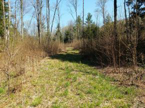 1425 Poor Farm Road South, Unit 1 Thetford, VT 05075 - Photo 14 of 15
