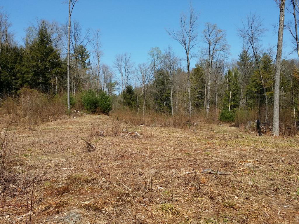 1425 Poor Farm Road South, Unit 1 Thetford, VT 05075 - Photo 3 of 15