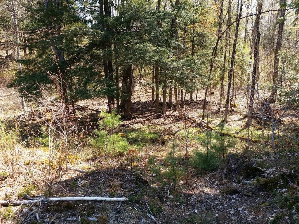 1425 Poor Farm Road South, Unit 1 Thetford, VT 05075 - Photo 4 of 15
