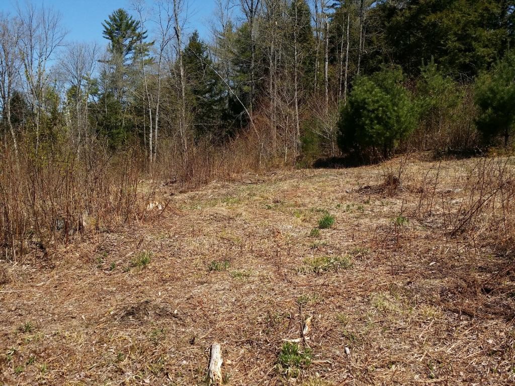 1425 Poor Farm Road South, Unit 1 Thetford, VT 05075 - Photo 5 of 15