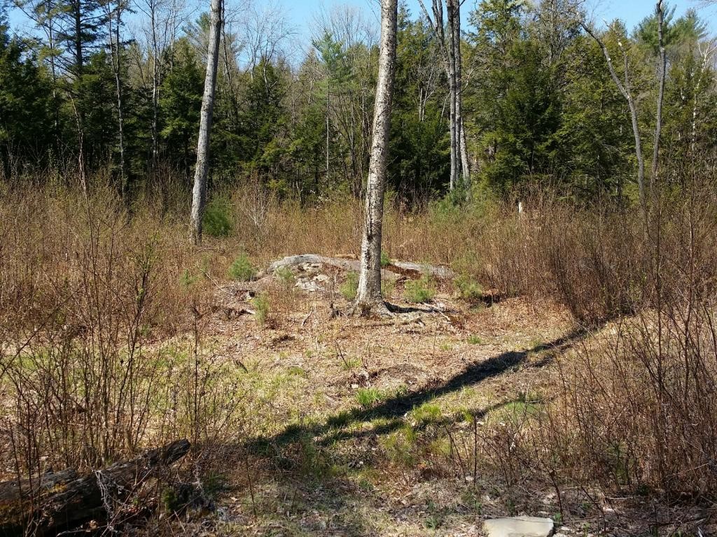 1425 Poor Farm Road South, Unit 1 Thetford, VT 05075 - Photo 6 of 15