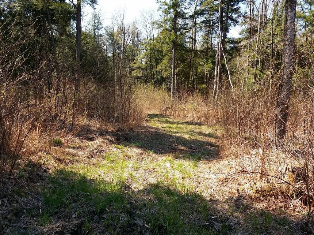 1425 Poor Farm Road South, Unit 1 Thetford, VT 05075 - Photo 7 of 15