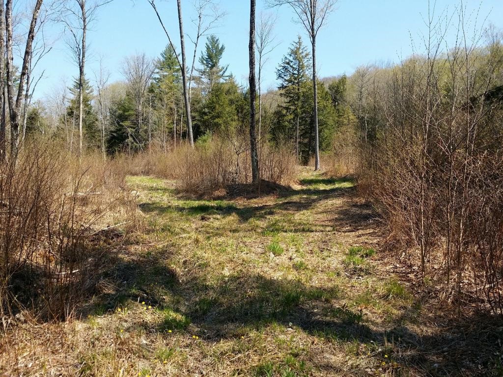 1425 Poor Farm Road South, Unit 1 Thetford, VT 05075 - Photo 8 of 15
