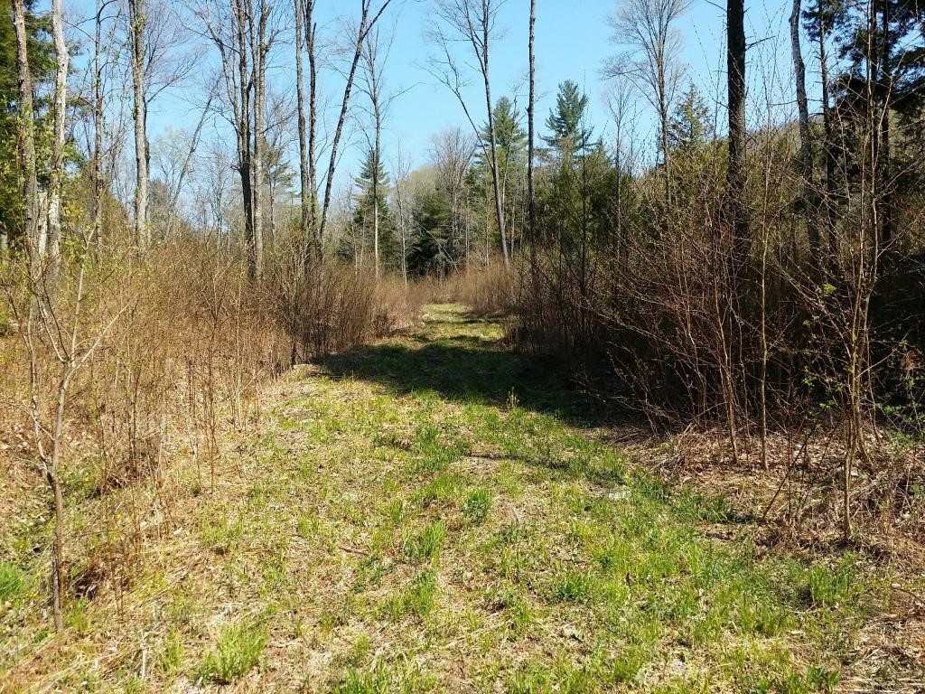 1425 Poor Farm Road South, Unit 1 Thetford, VT 05075 - Photo 9 of 15