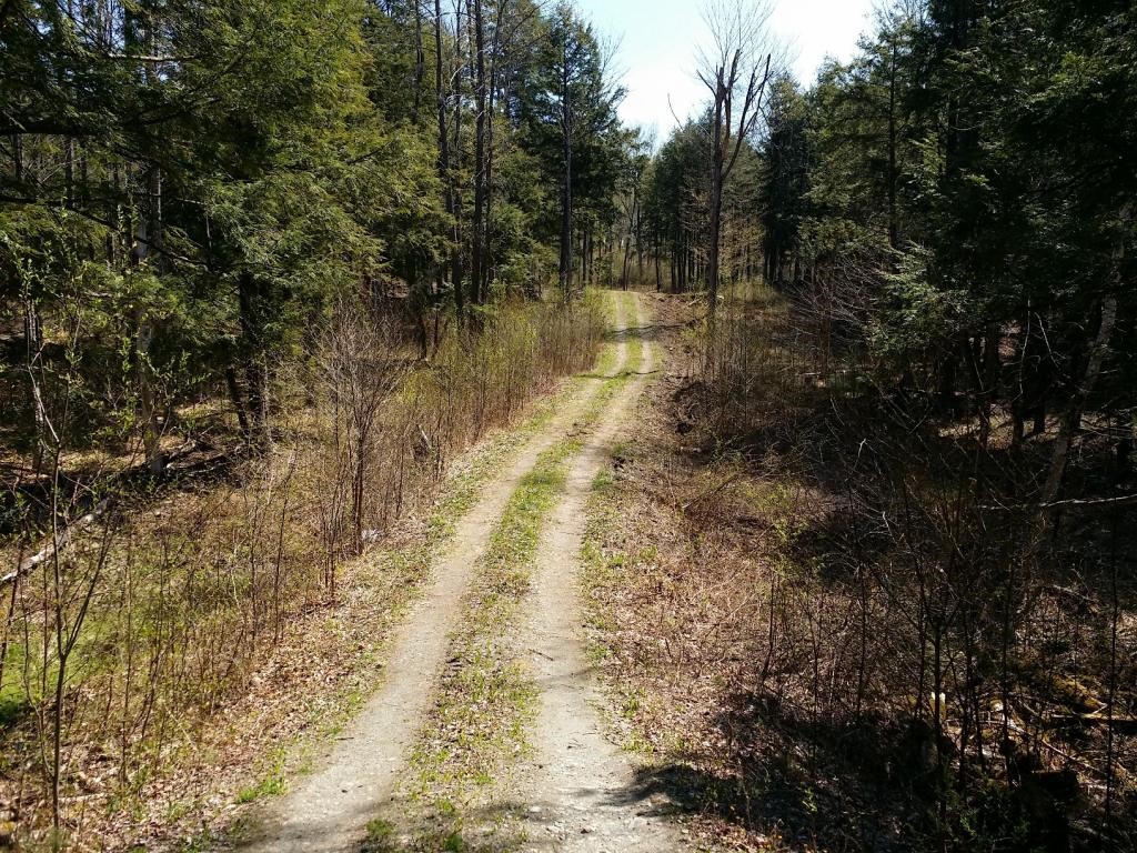 1425 Poor Farm Road South, Unit 1 Thetford, VT 05075 - Photo 10 of 15
