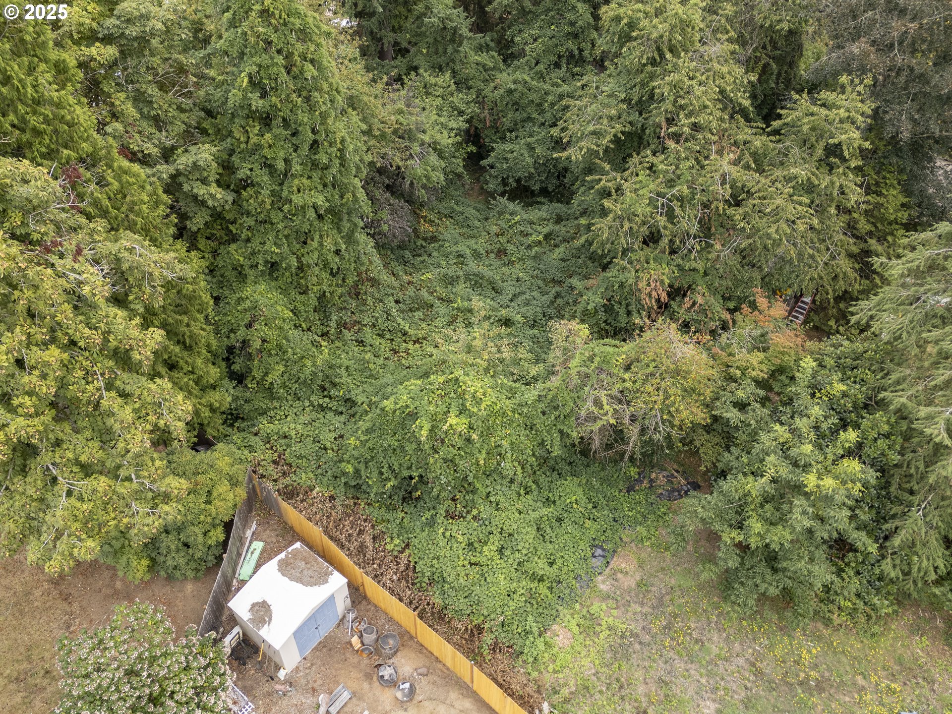 3679 Southeast 14th Street Gresham, OR 97080 - Photo 9 of 17