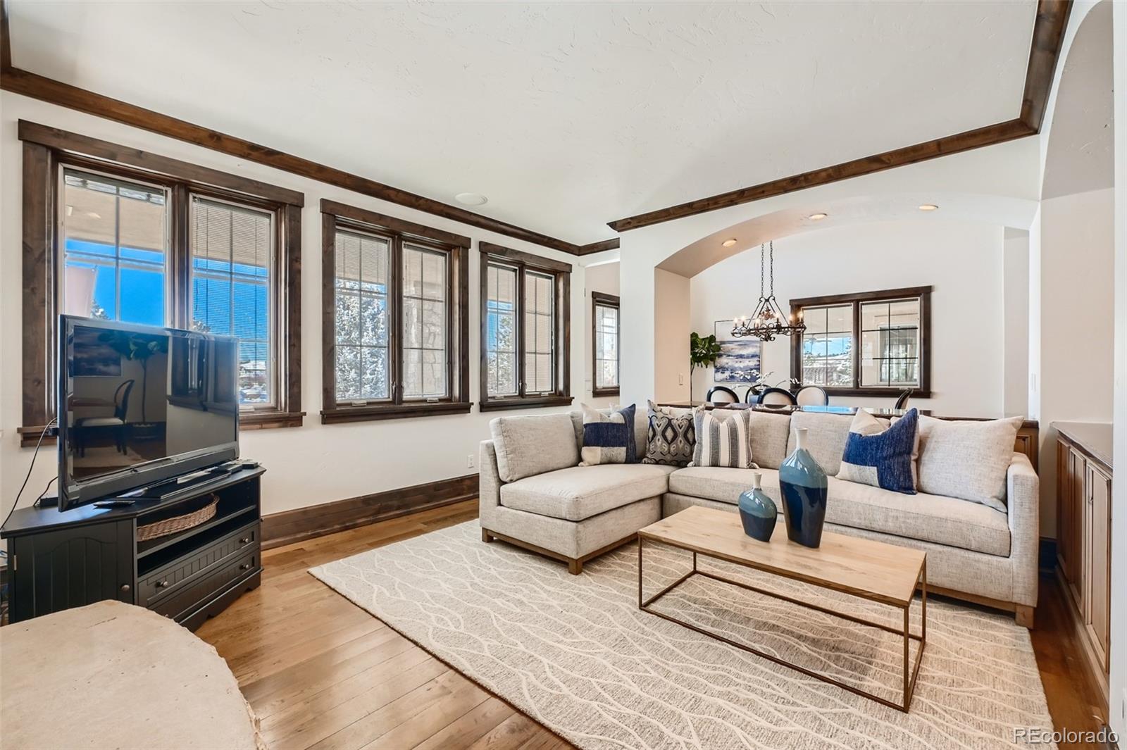 7390 Sagebrush Drive Parker, CO 80138 - Photo 13 of 40 a living room with furniture large windows and a flat screen tv