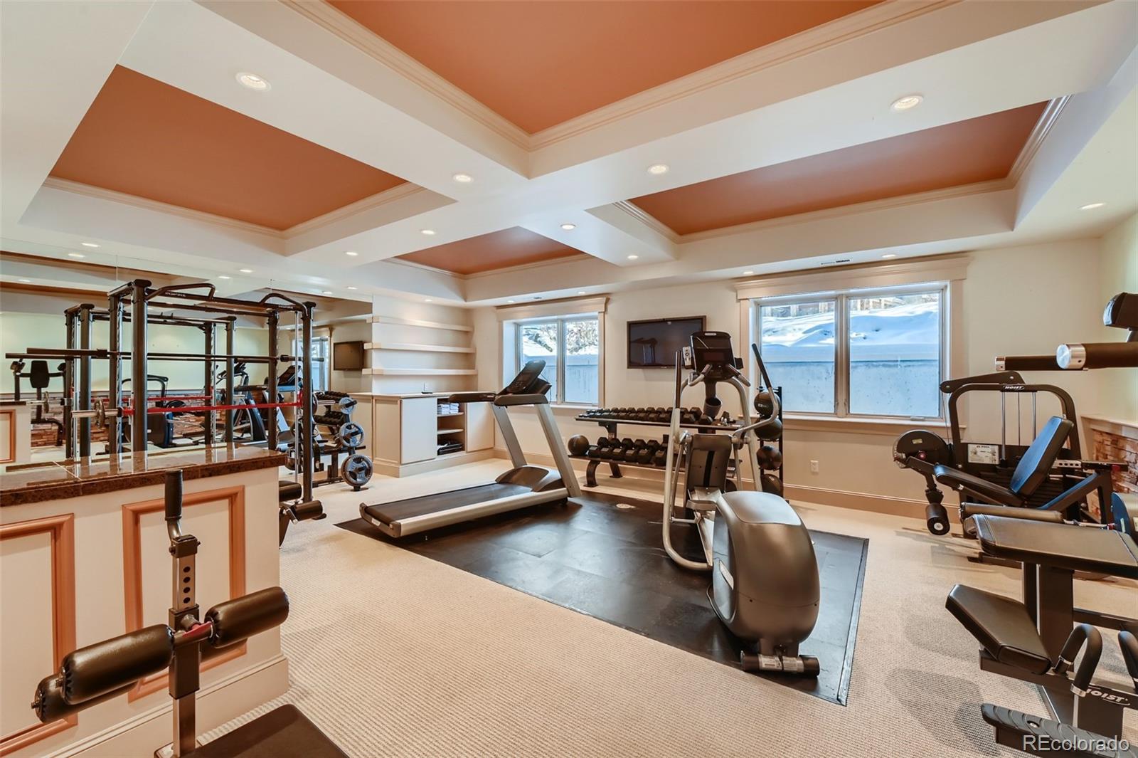 7390 Sagebrush Drive Parker, CO 80138 - Photo 34 of 40 a view of a room with gym equipment