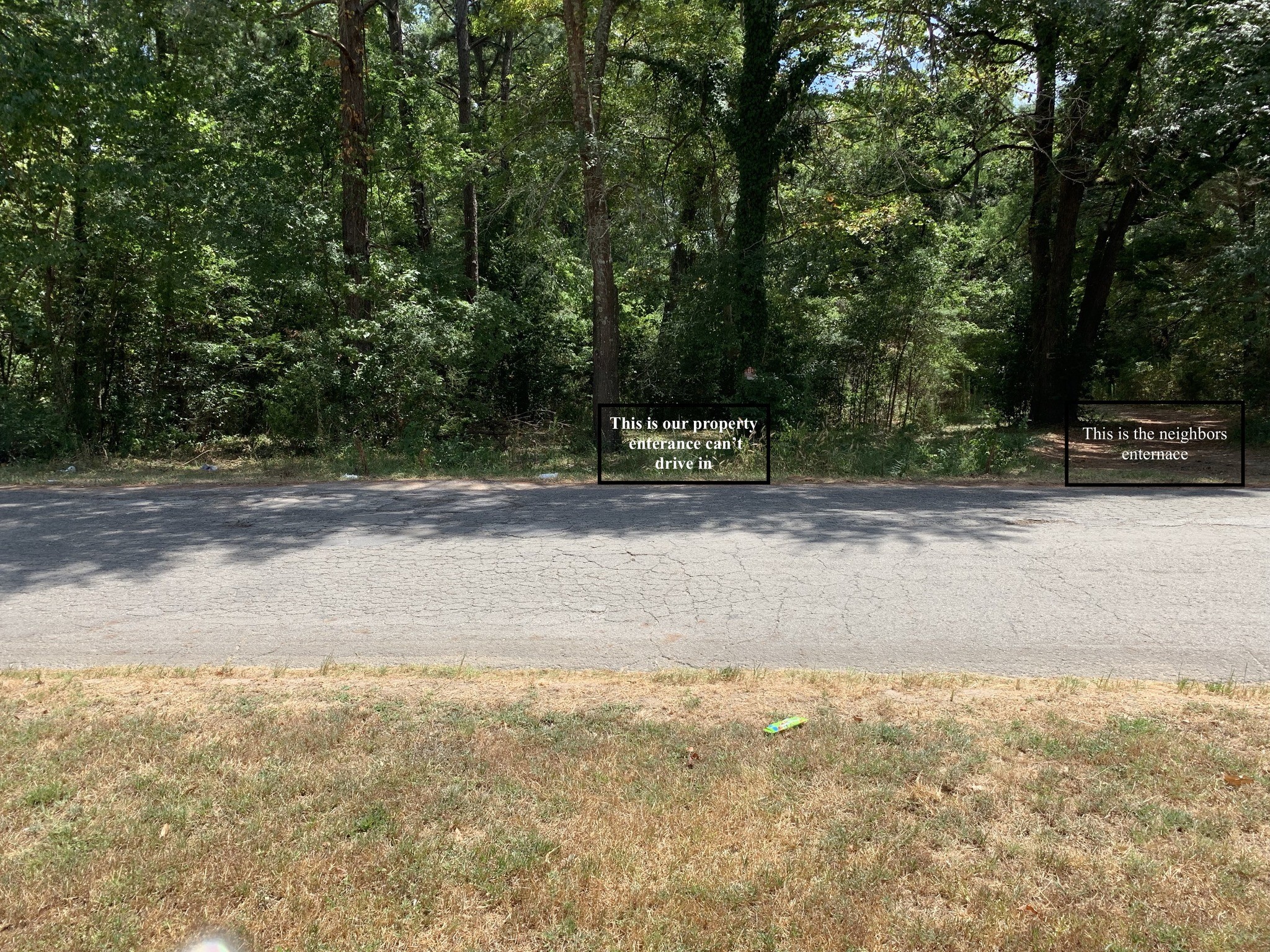 a view of a yard with a tree