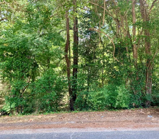 a view of a yard with plants and large trees