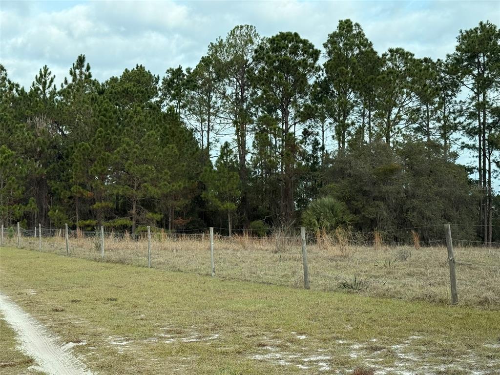 29605 Fullerville Road DeLand, FL 32720 - Photo 17 of 37 Gallery Image 17