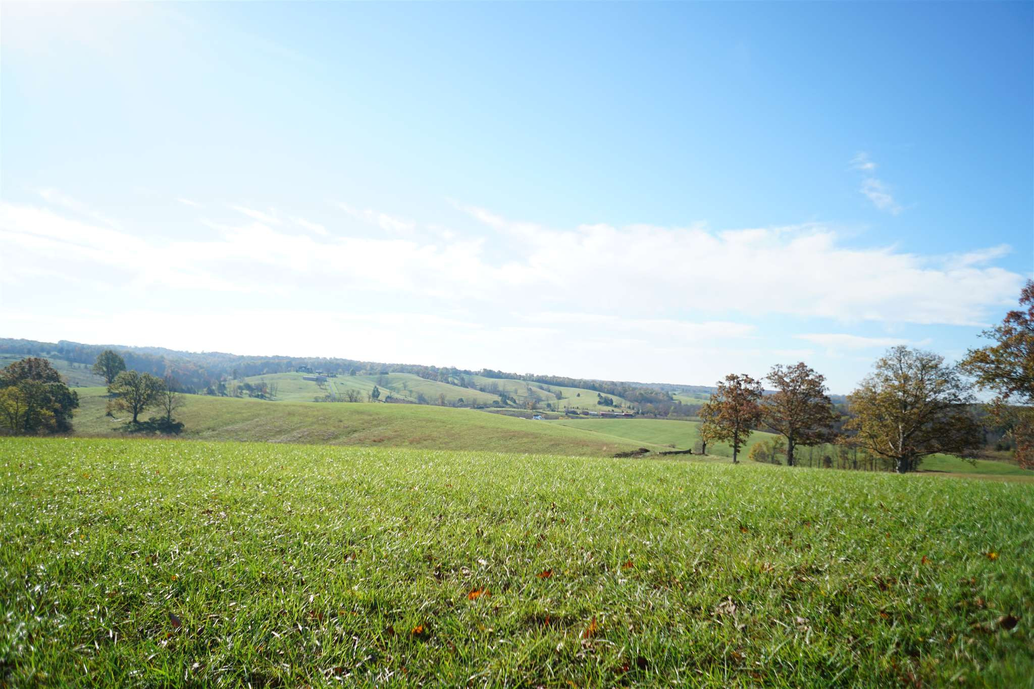 2292 Hinton-Webber Road Corinth, KY 41010 - Photo 26 of 40 Gallery Image 26