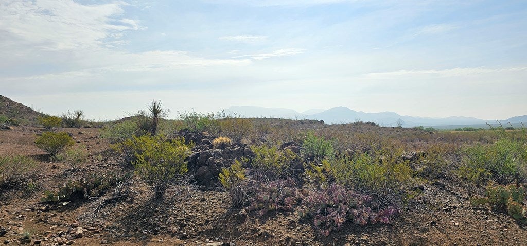 501 Crows Peak Road Alpine, TX 79830 - Photo 56 of 64 Gallery Image 56