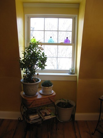 73 Walnut Avenue, Unit 3 Boston, MA 02119 - Photo 11 of 19 a living room with furniture and a potted plant