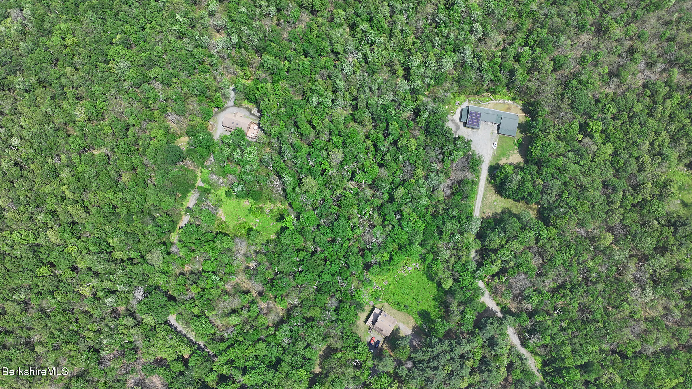 289 Algerie Road Becket, MA 01223 - Photo 27 of 33 a close up of a plant in a garden