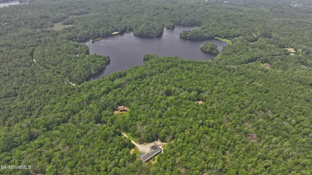 a aerial view of a house with a yard and covered with green space