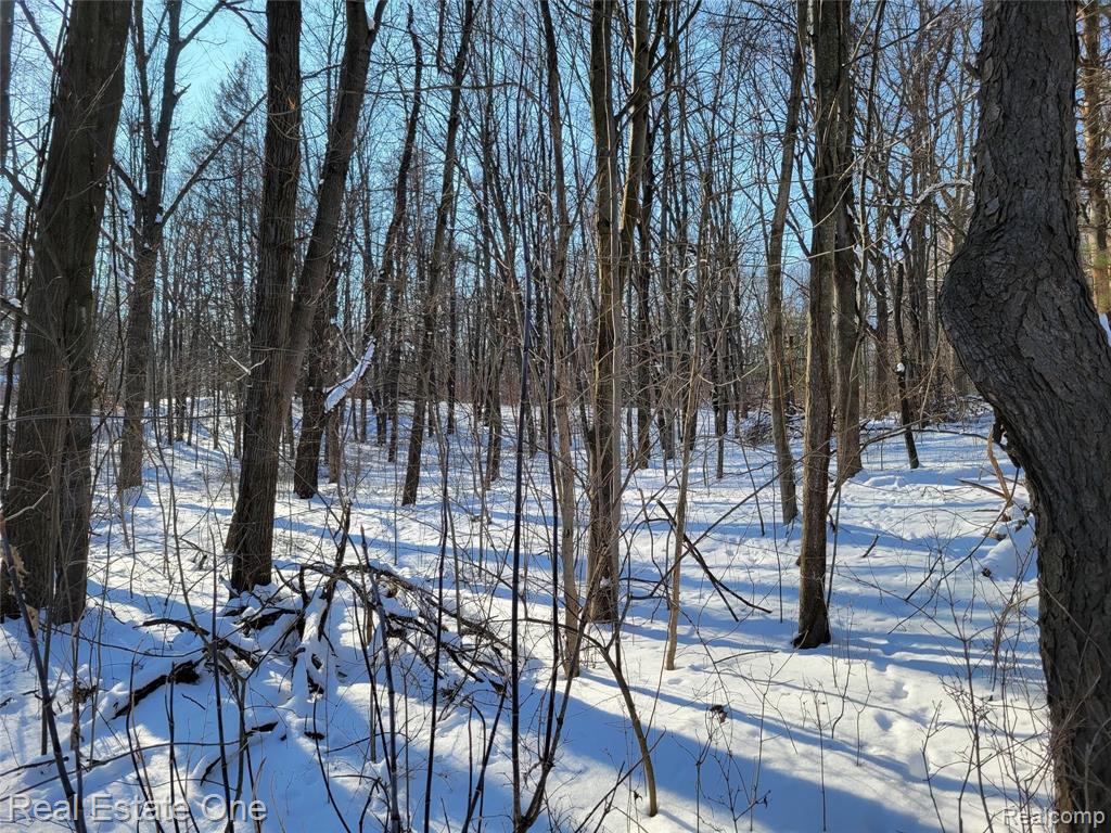 1 Miller Road Attica, MI 48412 - Photo 3 of 14