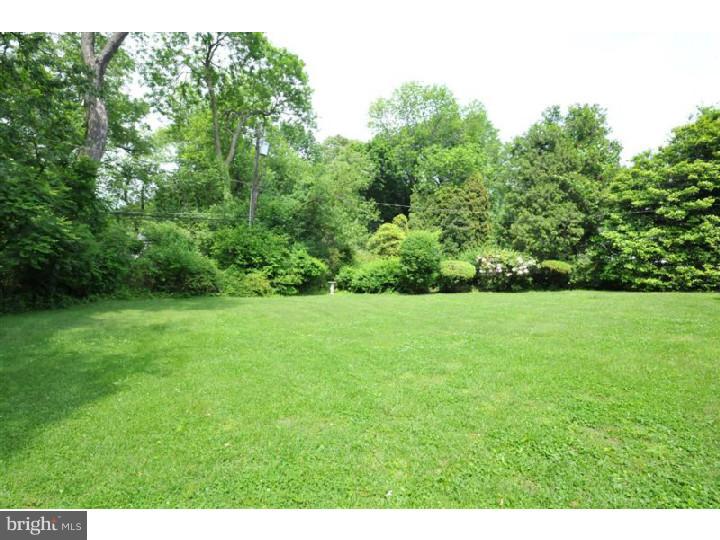 8104 Heacock Lane Wyncote, PA 19095 - Photo 16 of 18 Back Yard