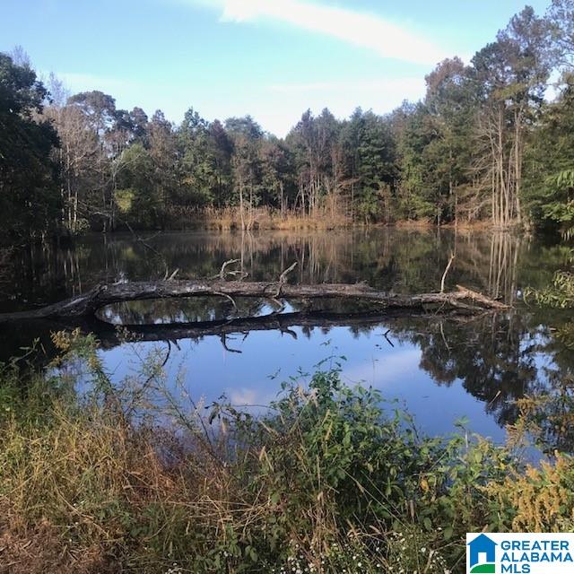 820 Popular Springs Road Clanton, AL 35045 - Photo 13 of 13