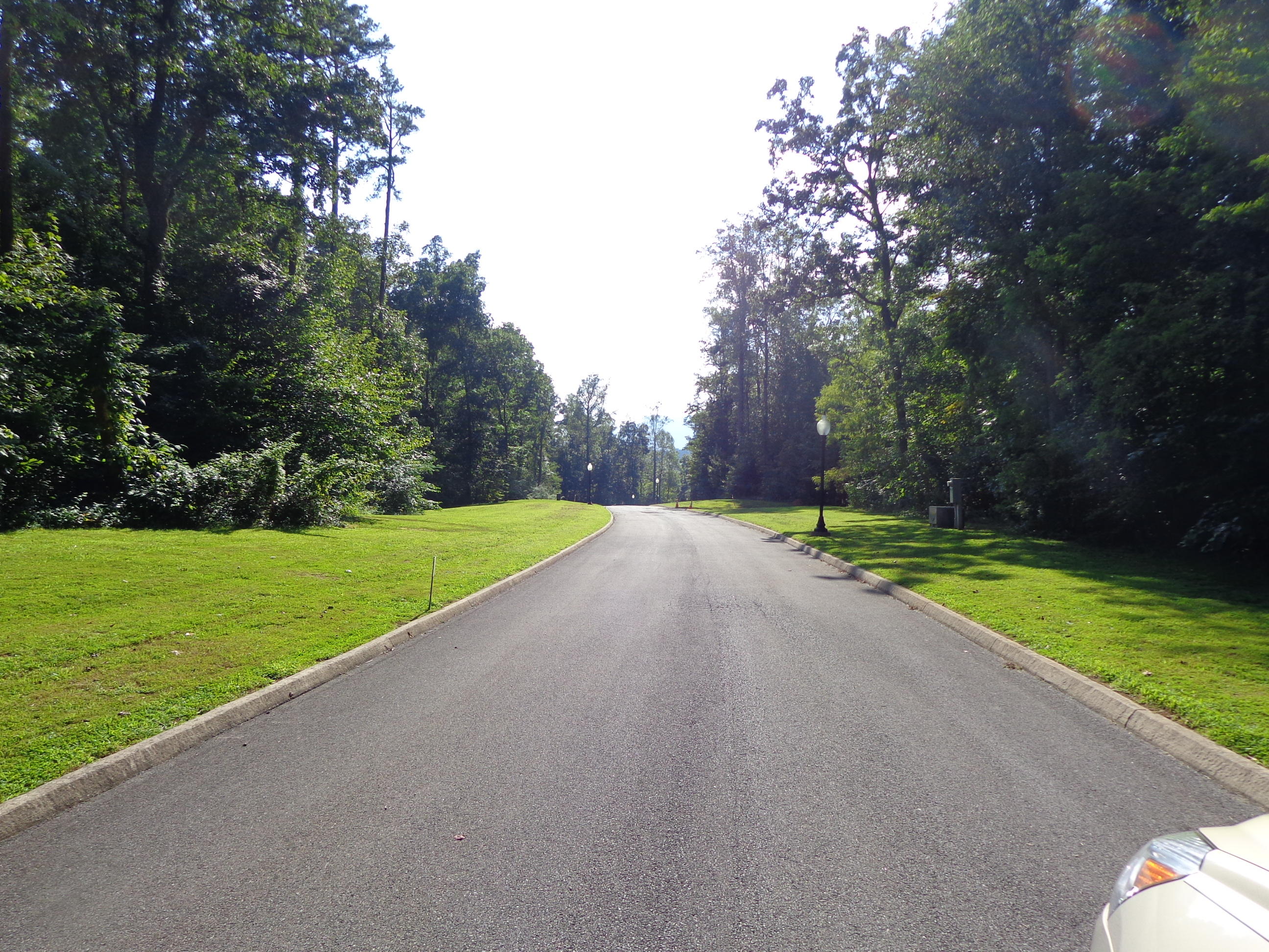 Lot 22 Meadowood Road Newport, TN 37821 - Photo 15 of 27 DSC06397