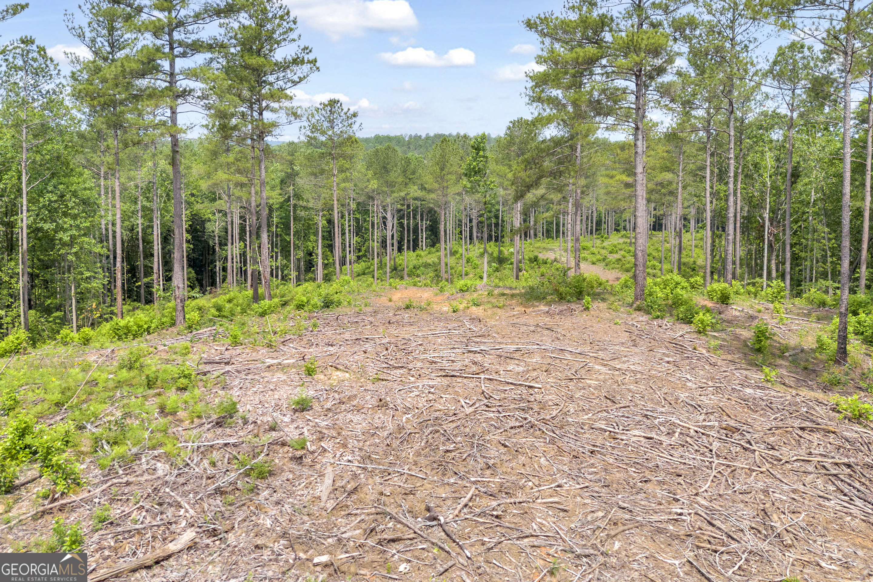 0 Mt Sinai Road, Unit LOT 1 Lula, GA 30554 - Photo 32 of 67