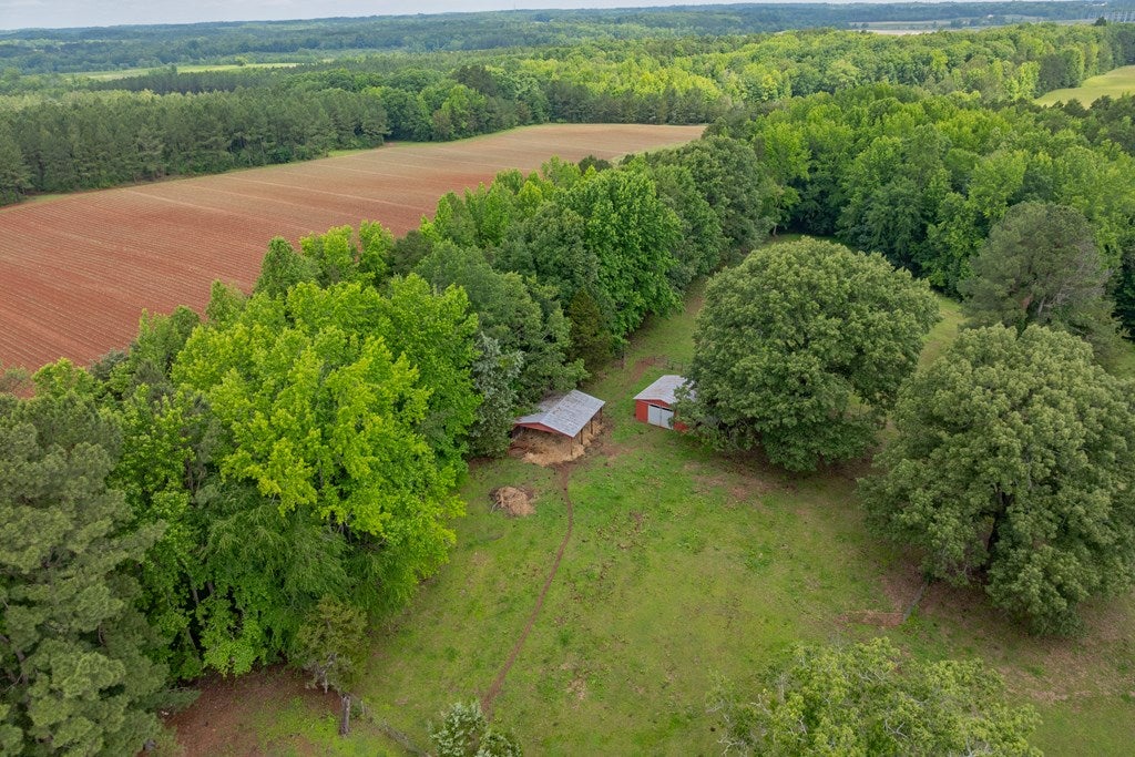 11393 Skipwith Road Chase City, VA 23924 - Photo 49 of 54 Gallery Image 49