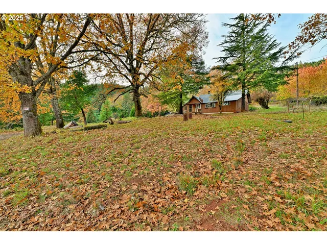 a view of open space with trees