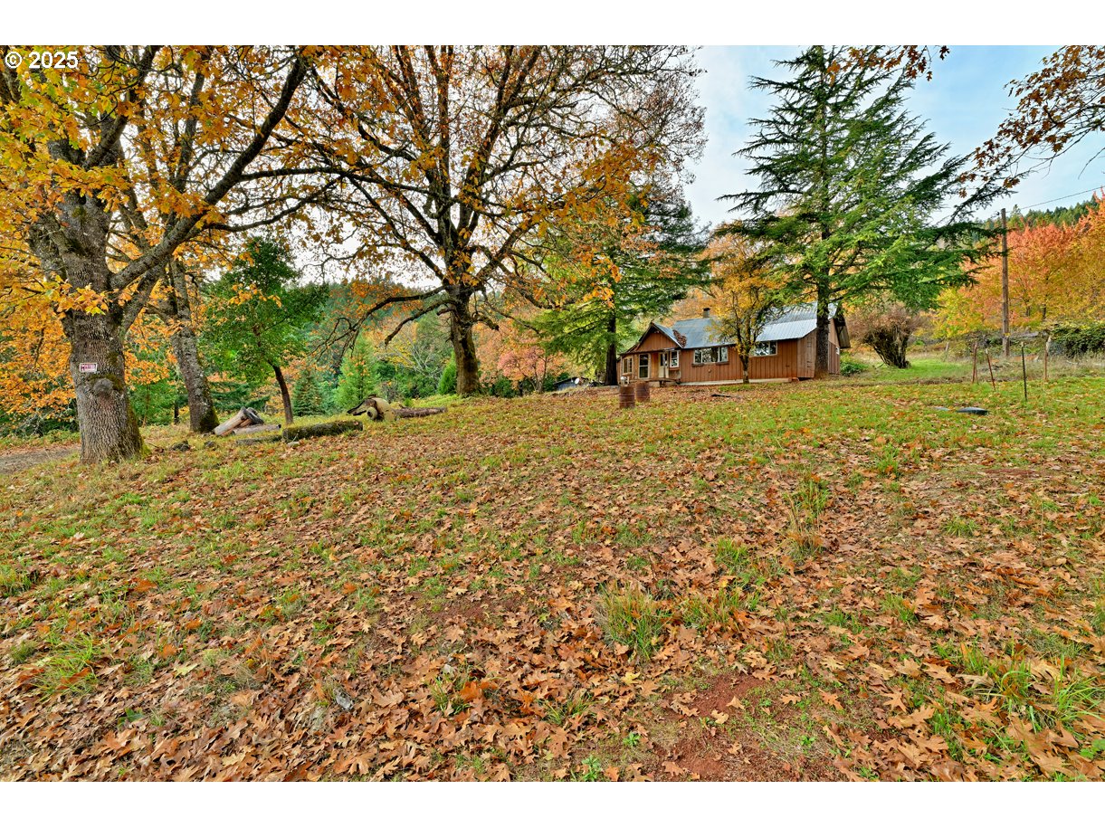 1480 Bridge Lane Wolf Creek, OR 97497 - Photo 11 of 28 a view of open space with trees