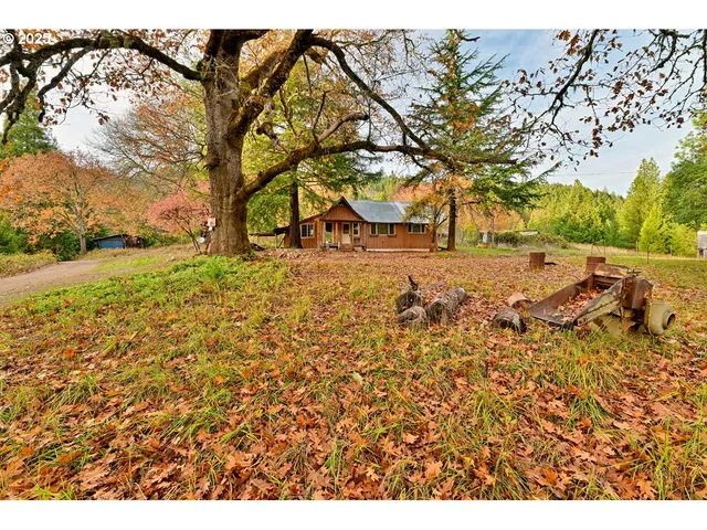a view of yard with tree in the background