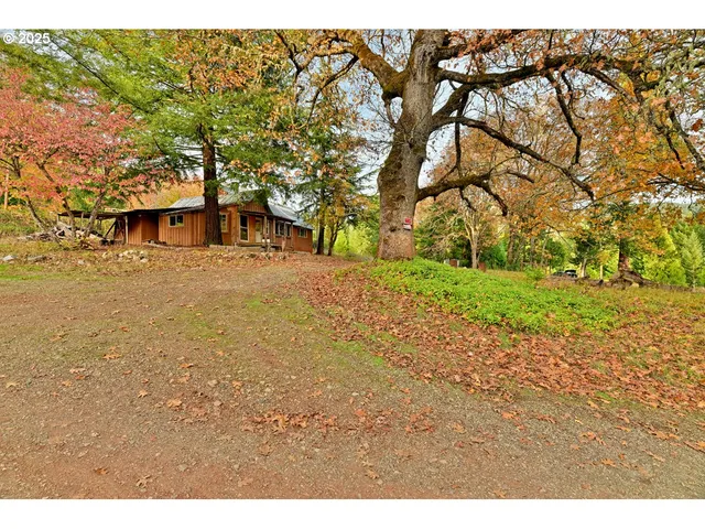 a backyard of a house with lots of green space