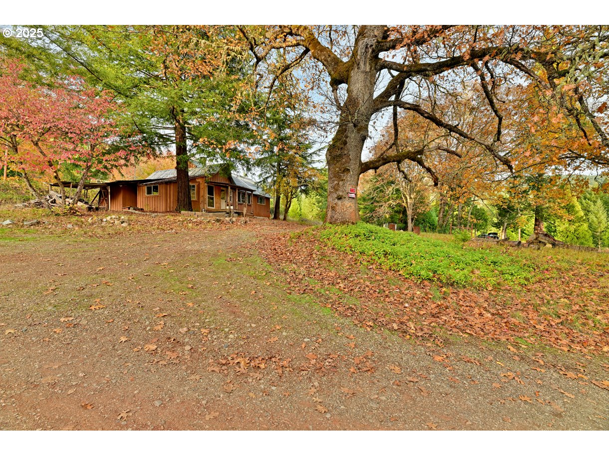 1480 Bridge Lane Wolf Creek, OR 97497 - Photo 15 of 28 a backyard of a house with lots of green space