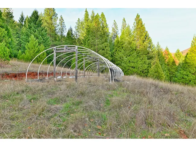 a view of a yard with a slide