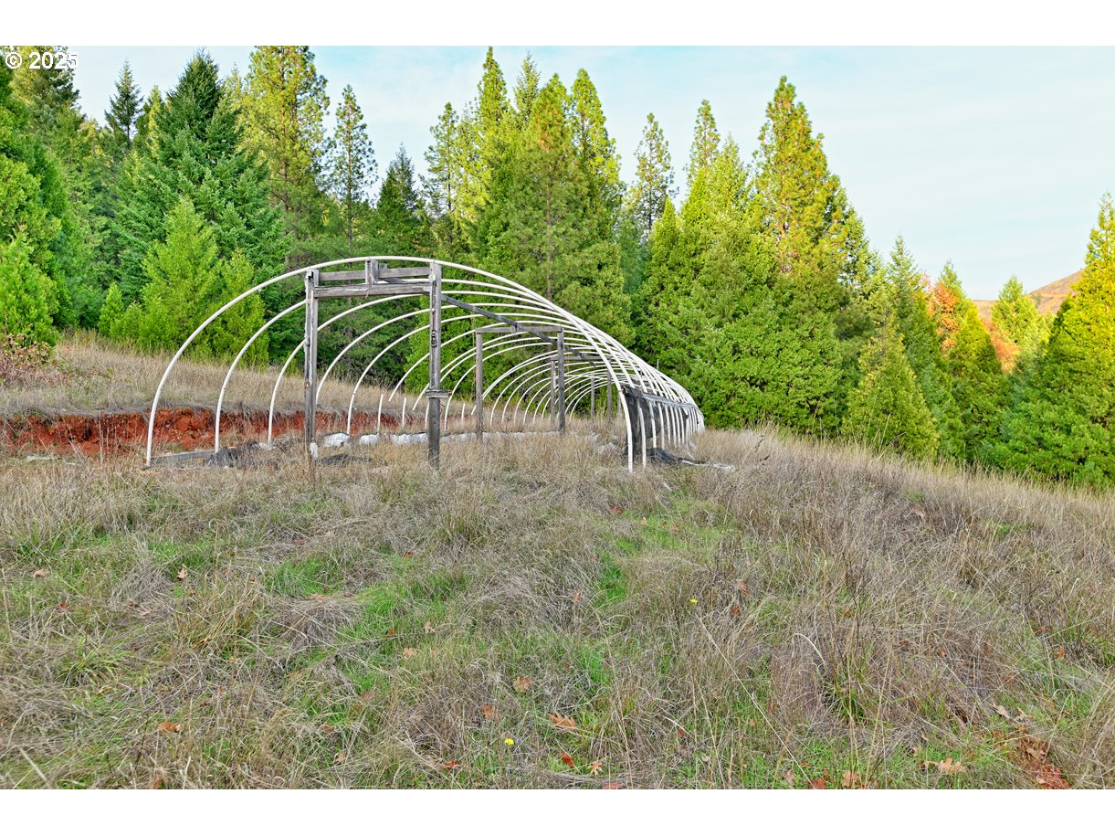 1480 Bridge Lane Wolf Creek, OR 97497 - Photo 19 of 28 a view of a yard with a slide