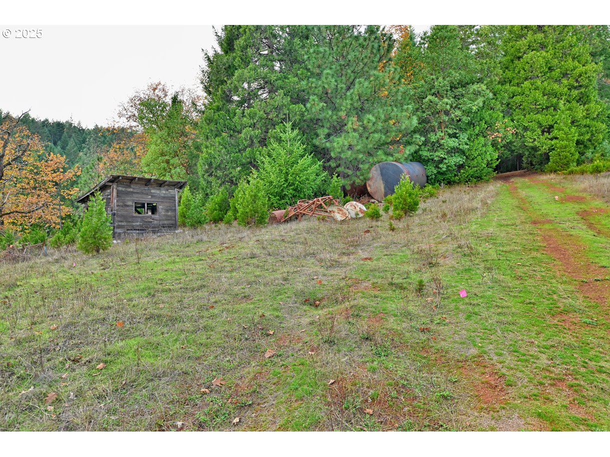 1480 Bridge Lane Wolf Creek, OR 97497 - Photo 20 of 28 a picture of a field