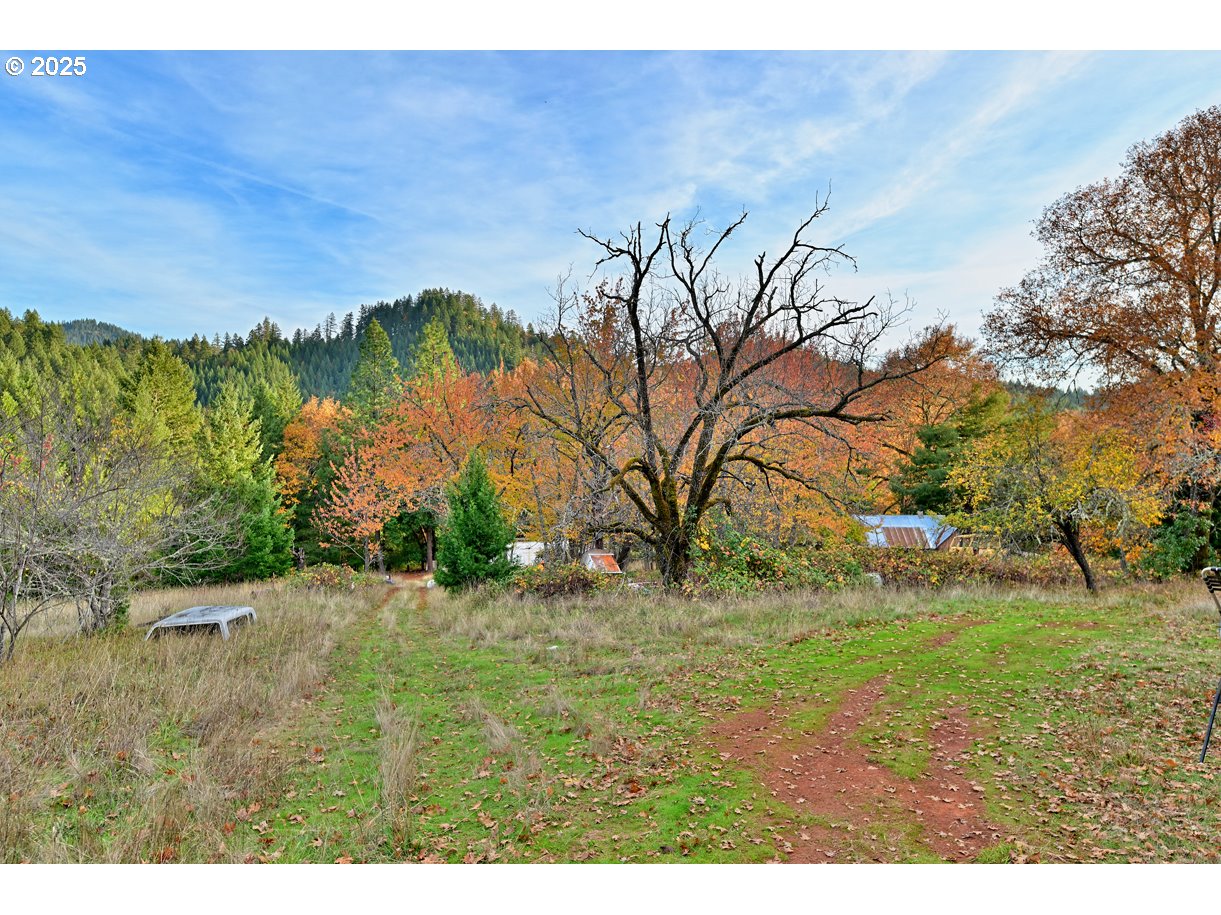 1480 Bridge Lane Wolf Creek, OR 97497 - Photo 21 of 28 a backyard of a house with lots of green space