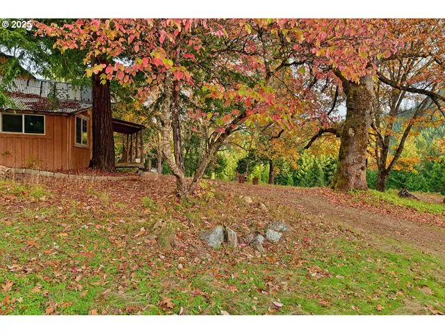a backyard of a house with large trees
