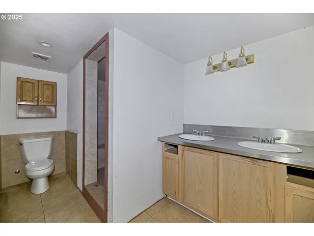 a bathroom with a sink vanity and a toilet