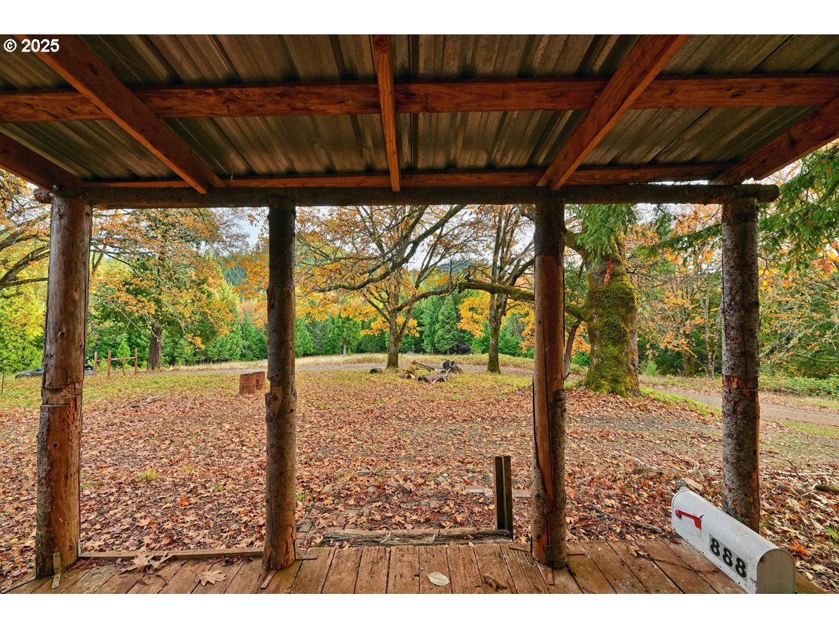 1480 Bridge Lane Wolf Creek, OR 97497 - Photo 28 of 28 a view of a backyard with a large tree