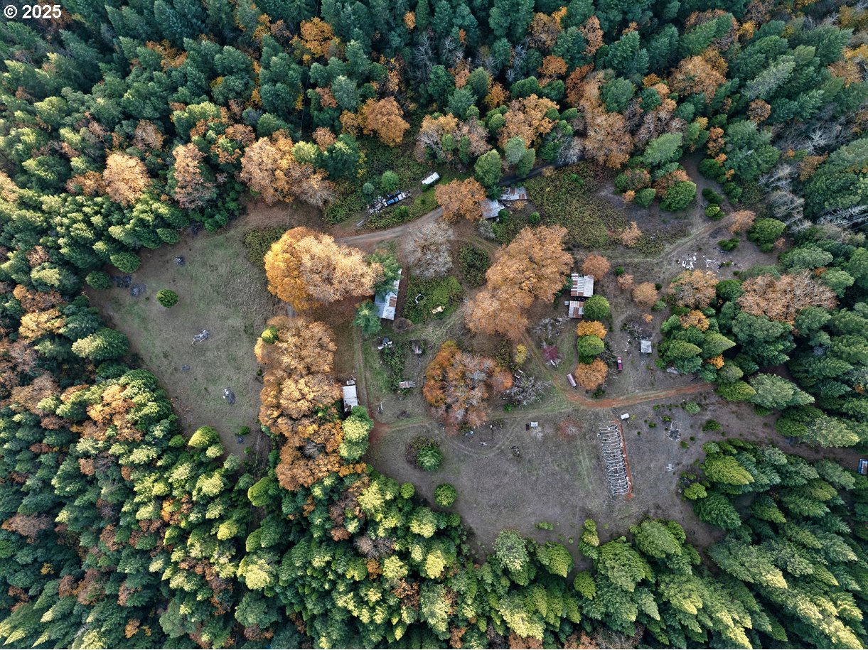 1480 Bridge Lane Wolf Creek, OR 97497 - Photo 3 of 28 a view of a tree in a yard