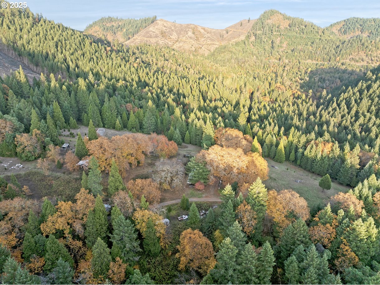 1480 Bridge Lane Wolf Creek, OR 97497 - Photo 6 of 28 a view of a backyard of the house