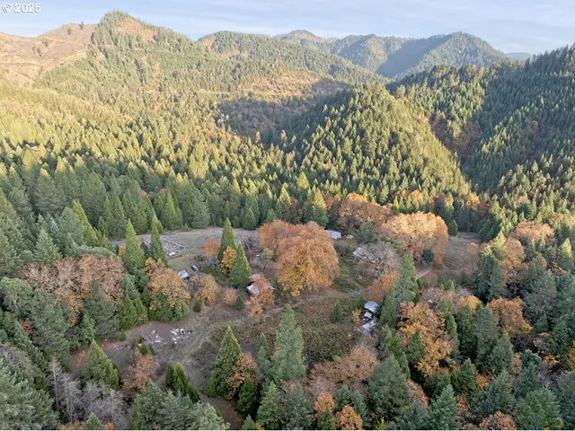 a view of a forest with mountains in the background