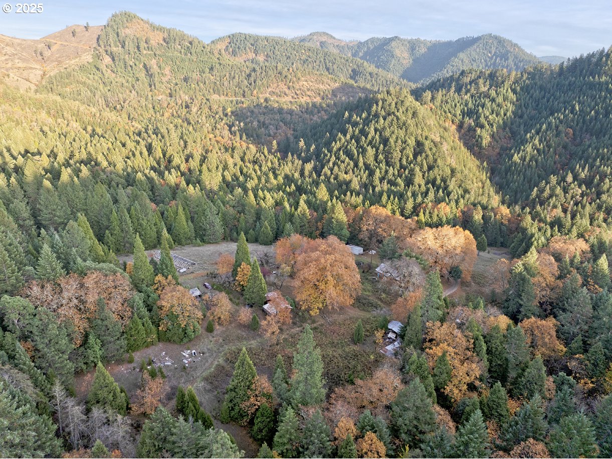 1480 Bridge Lane Wolf Creek, OR 97497 - Photo 7 of 28 a view of a forest with mountains in the background